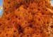 sociable_weaver_nest_da