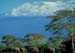 elephant_mount_kilmanjaro