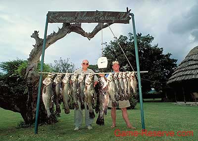fish_catch