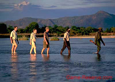 day_walk_safari