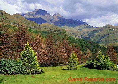 drakensberg_02