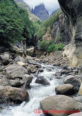 drakensberg_09_rsa