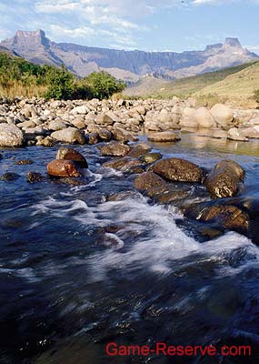 drakensberg_11_rsa
