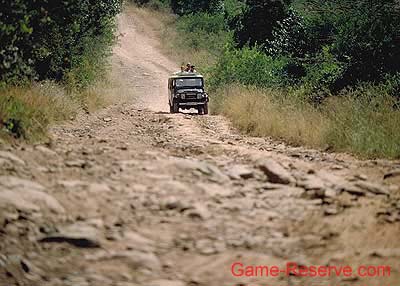 game-reserve_road