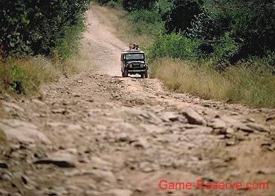game-reserve_road_02