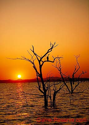 kariba_da