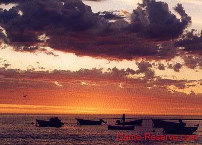 kommetjie_lobster_boats_rw
