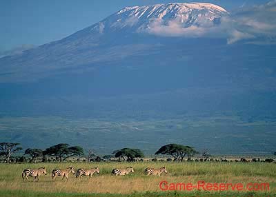 mount_kili_snow_capped
