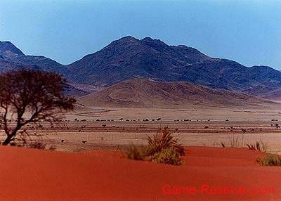 namibrand_game_reserve_ng