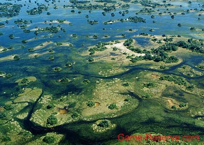 okavango_delta_aerial_rw