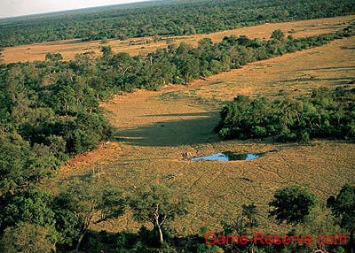 okavango_habitat