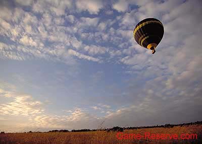 serengeti_balooning