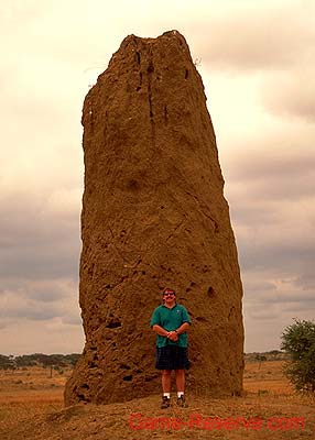 termite_mound_da