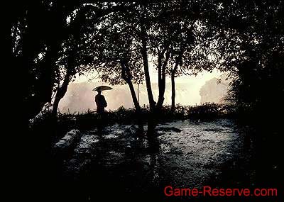 victoria_falls_spray_da