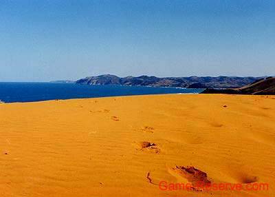 wild_coast_transkei_rw