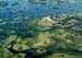 okavango_delta_aerial_rw