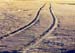 tracks_in_sand_rw