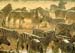 zebra_herd_etosha_da
