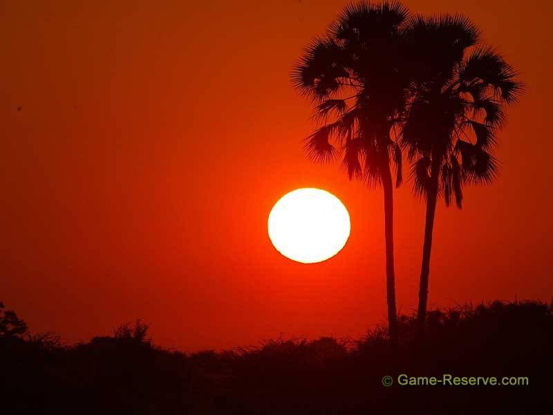 Kalahari Sunset