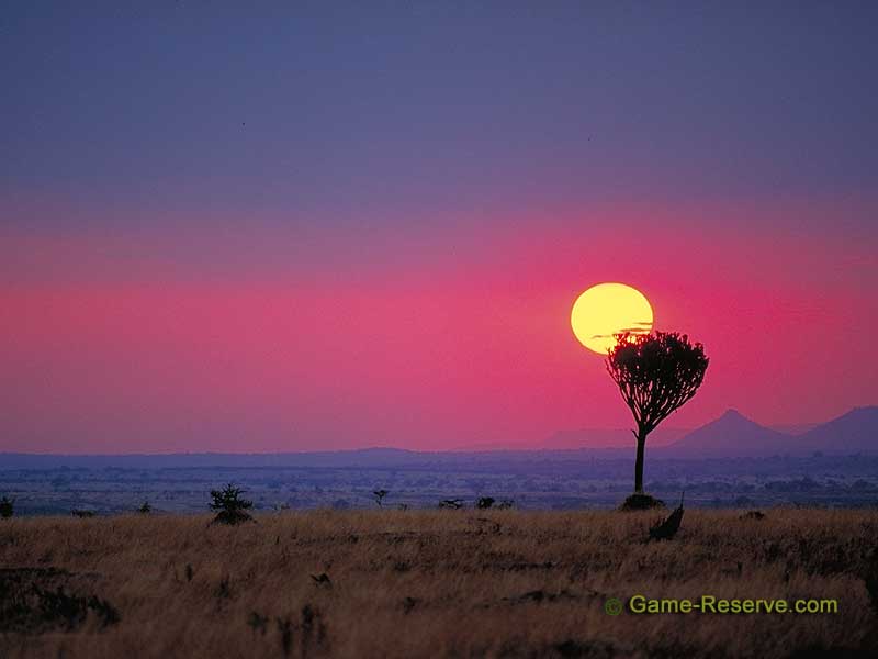 Namibia Landscape