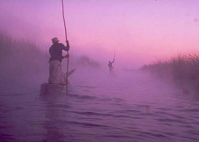 Makoro dugout canoes Okavango. Pic: David Anderson